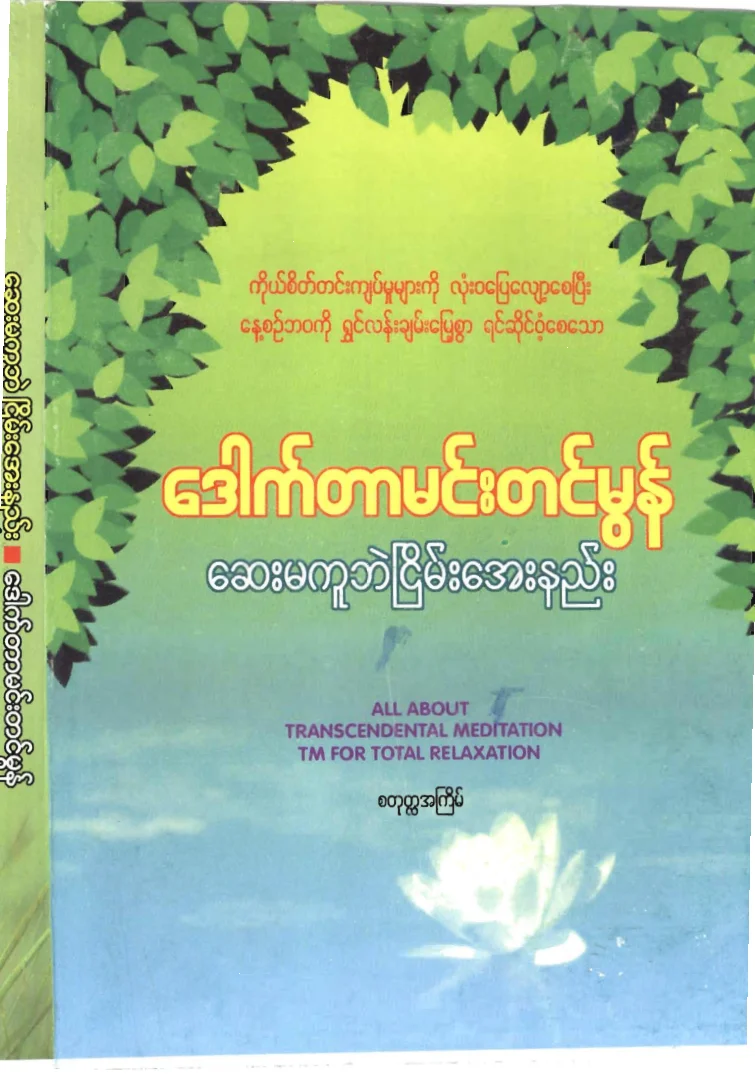 drmehmtinmon-saymakubairnyainayenyee.pdf